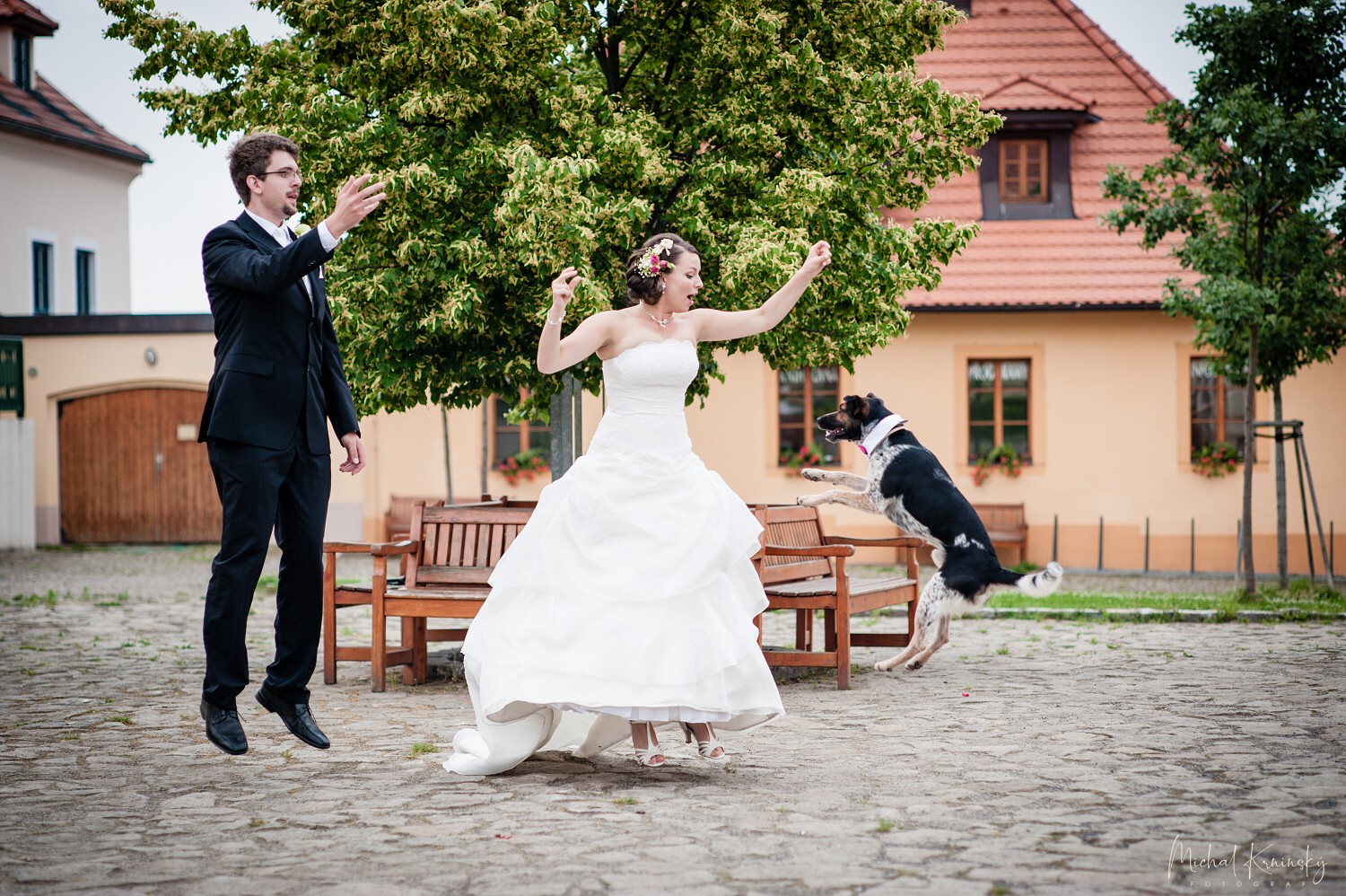 Fotografie 15